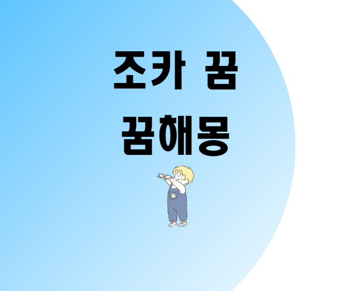 조카 꿈 조카나오는꿈 조카태어나는꿈