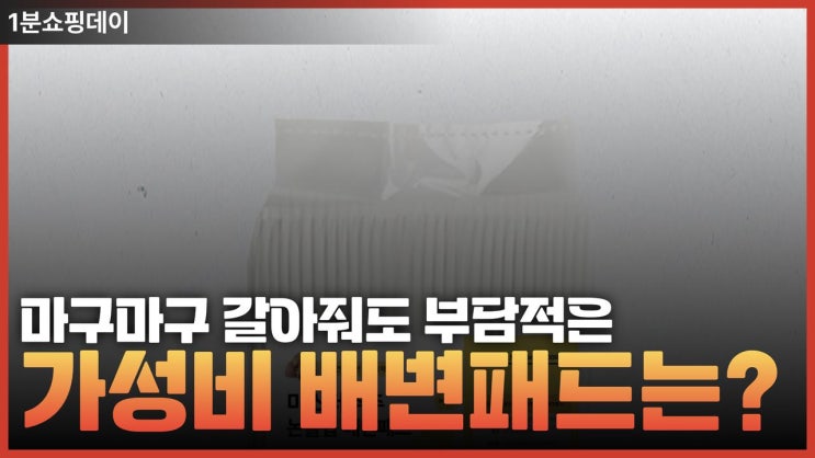  흡수력 좋고 가성비 좋은 배변패드 top3