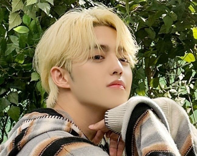 SEVENTEEN Fanfiction Recommendations 3
