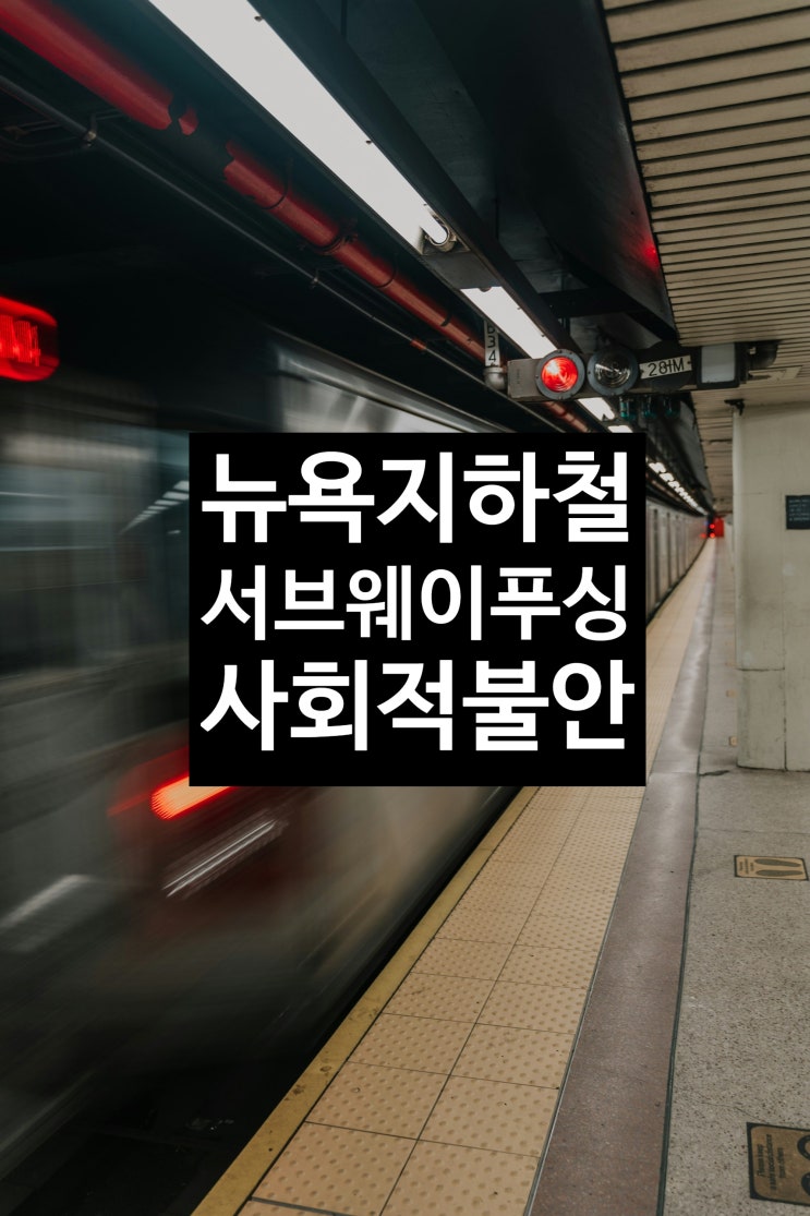  뉴욕 지하철에서 발생한 '서브웨이 푸싱'  시민 불안을 어떻게 줄일 수 있을까?