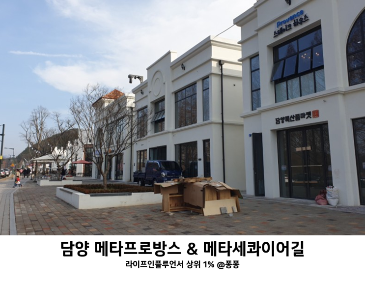  전남 아이와 가볼만한곳 추천 담양 메타프로방스 메타세콰이어길 겨울 아기랑 갈만한곳