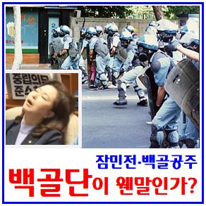  백골단 논란 (ft. 시위진압부대 ) : 김민전, 국회기자회견, 뜻이란, 대표, 부활, 출신, 신상, 사진, 정체, 단장, 명단, 김정현, 송가엘, 프락치, 청바지, 하이바, 반공