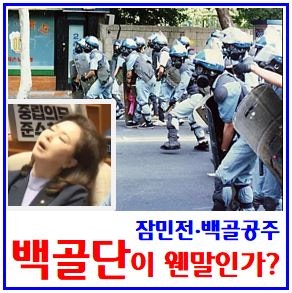백골단 논란 (ft. 시위진압부대 ) : 김민전, 국회기자회견, 뜻이란, 대표, 부활, 출신, 신상, 사....