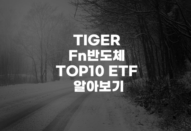  TIGER Fn반도체TOP10 ETF[396500] 분석 주식 주가 하이닉스 삼성전자