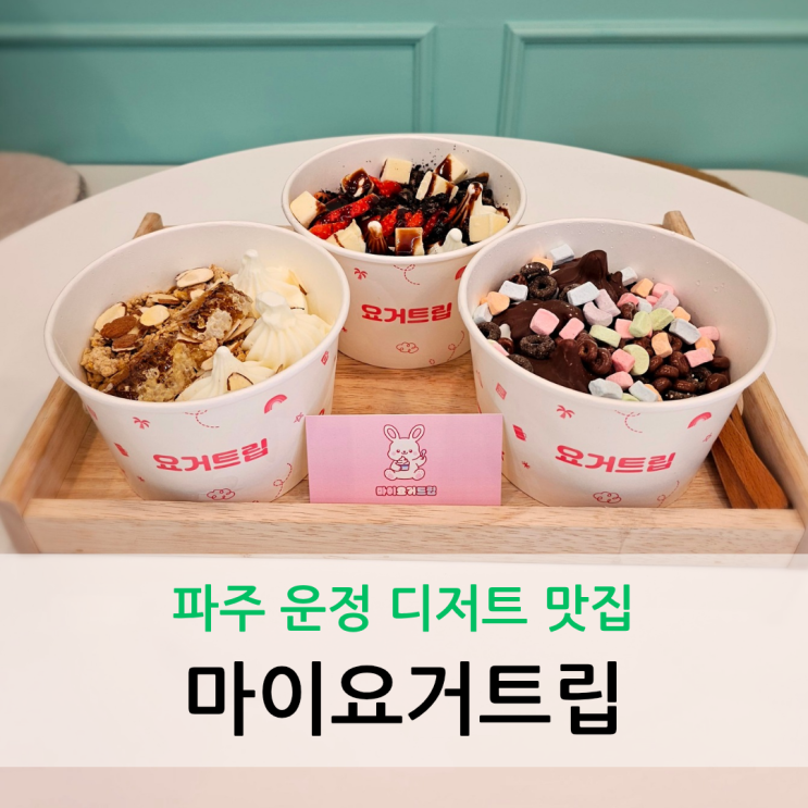  파주 운정 디저트 맛집 산지 직송 천연벌집꿀 토핑 마이요거트립
