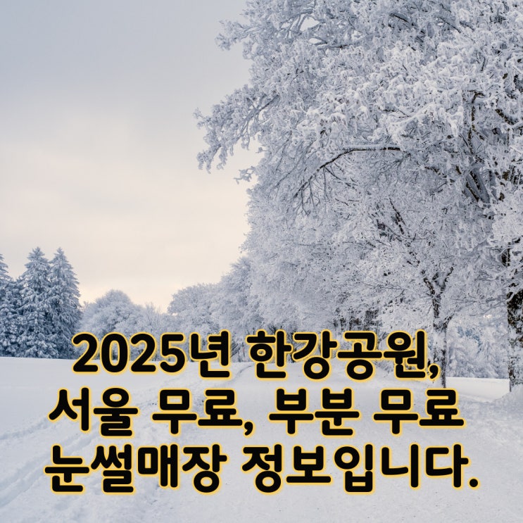  겨울방학 아이들 하고 즐거운 시간 보내기 좋은 눈썰매장 정보(서울, 한강공원, 무료)