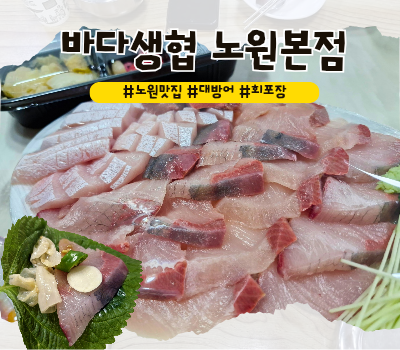  [노원 맛집] 대방어가 맛있는 은사횟집 :: 바다생협 대광어 노원본점