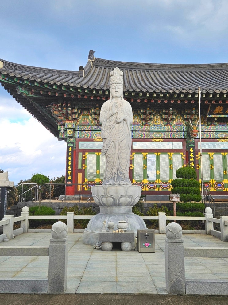  제주 구좌읍 세화해수욕장 해안도로 드라이브 용문사 사찰 제주도 절 조용한 여행지 추천