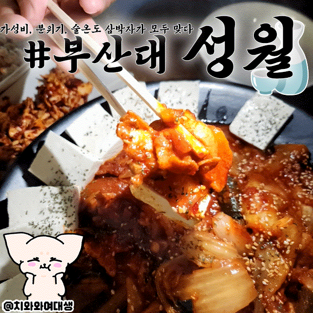  부산대 막걸리 술집 성월 분위기 좋은 찐맛집 단체모임
