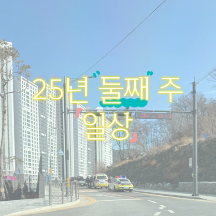  [일상] 25년 1월 둘째 주 일상 모음