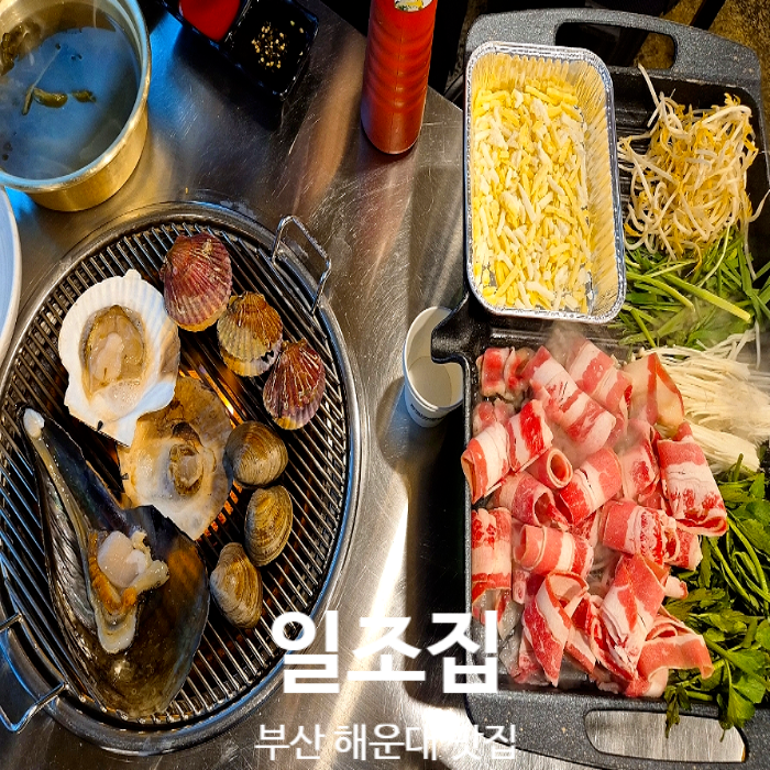  부산 해운대 맛집 조개구이 핫플 일조집