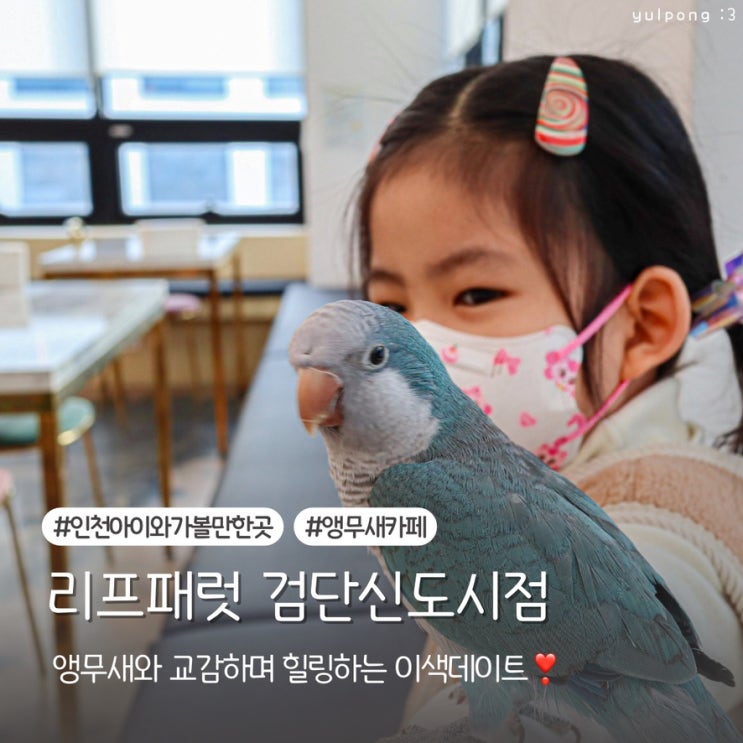 아이와 함께 즐기는 검단신도시 리프패럿 인천앵무새카페 체험 후기