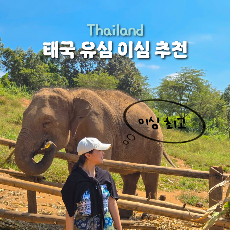 태국 여행 유심 AIS eSIM 이심 추천 사용법