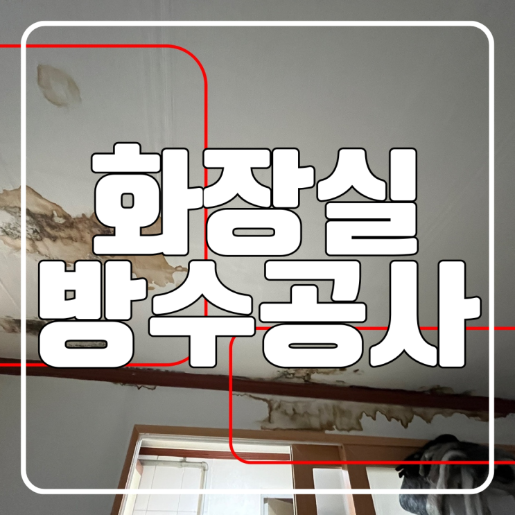  화장실 방수공사 수원 원천동 원룸 누수 천장누수 벽 도배지 곰팡이