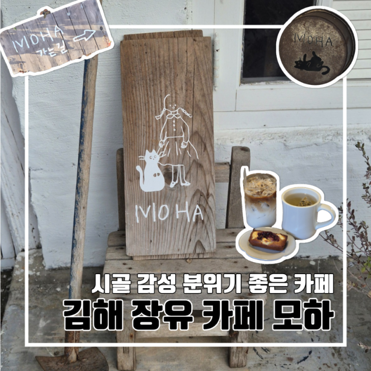  김해 장유 느좋 분좋 시골 감성 카페 모하 l 주차장 위치 고양이