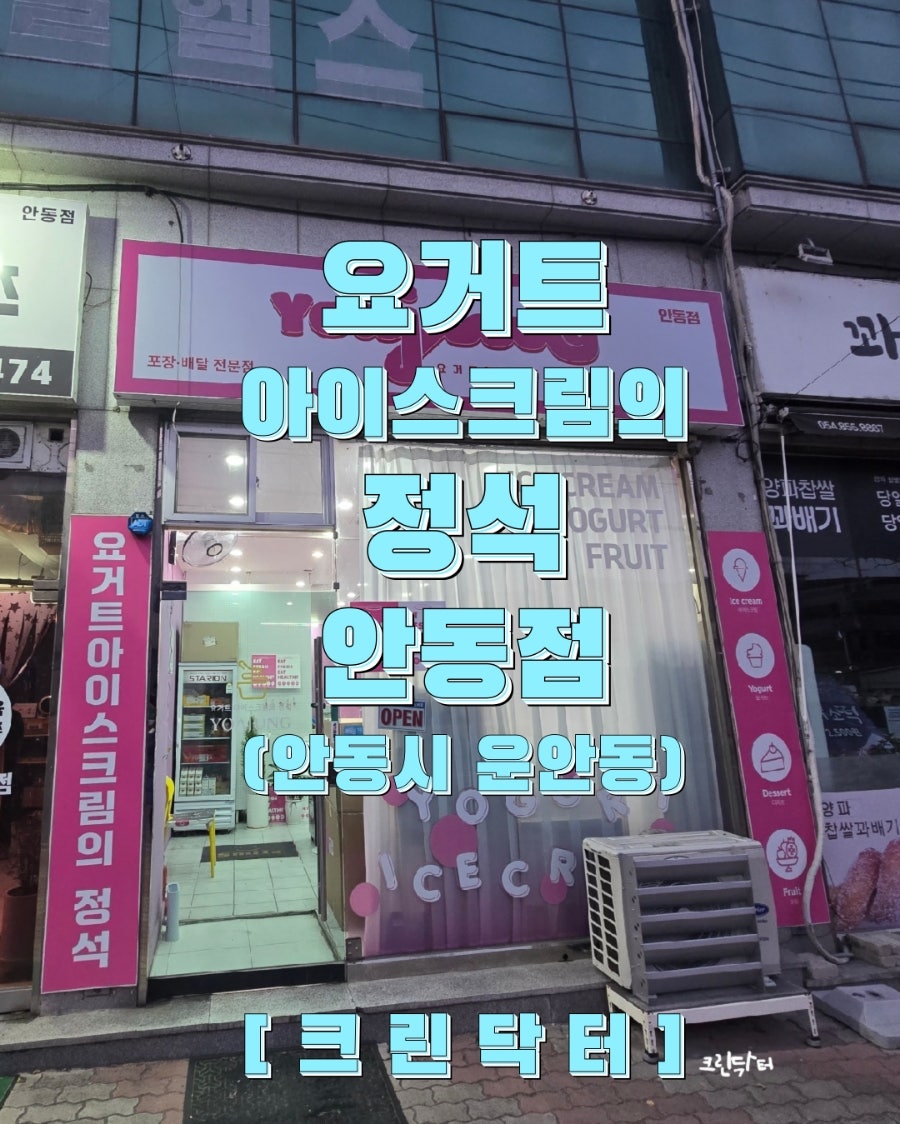 요거트아이스크림의정석 안동점 사진 1
