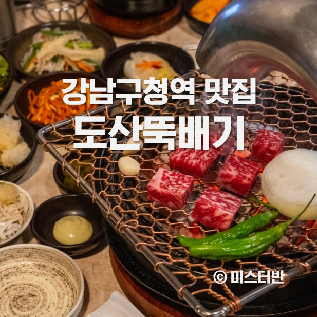  강남구청역 맛집 도산뚝배기 도산공원 고기집 추천