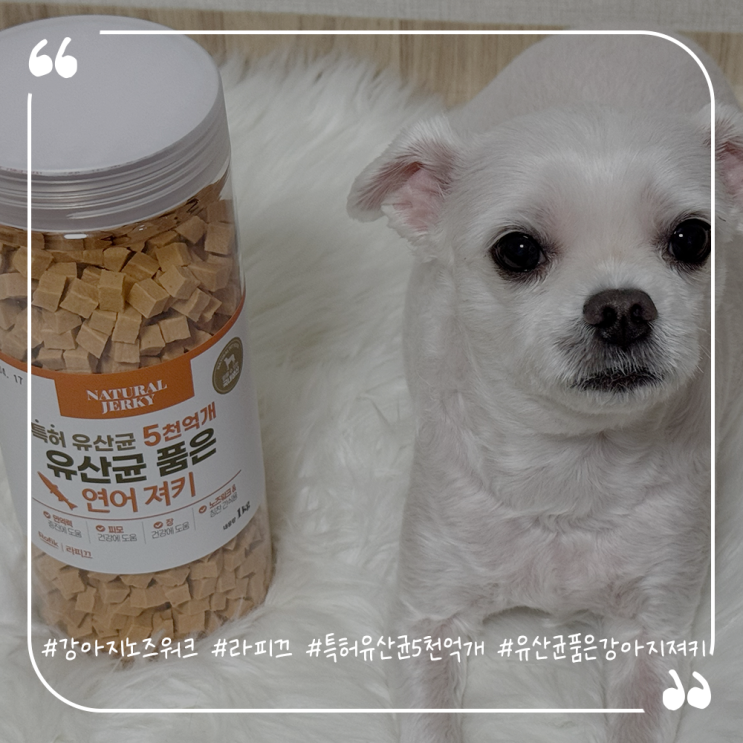  강아지노즈워크간식추천 라피끄 특허 유산균 5천억개 유산균 품은 강아지 져키 5종