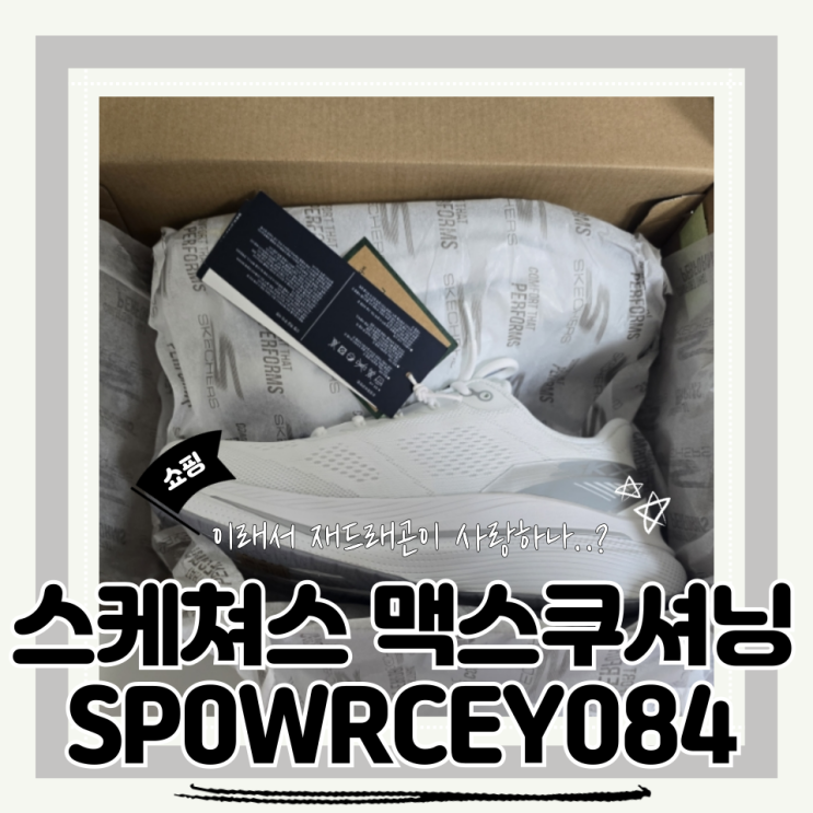  (워킹화추천) 여행운동화 하루에 삼만보도 편안했던 스케쳐스 맥스쿠셔닝 프로펄션 SP0WRCEY084(feat.스케쳐스 사이즈)