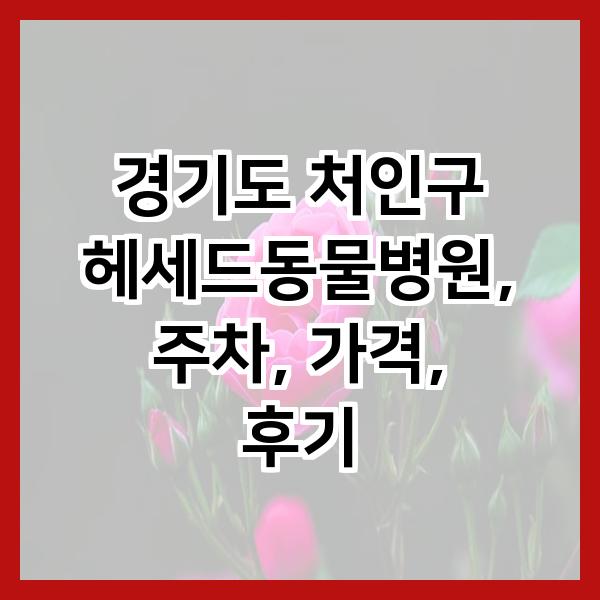 헤세드동물병원 사진 1