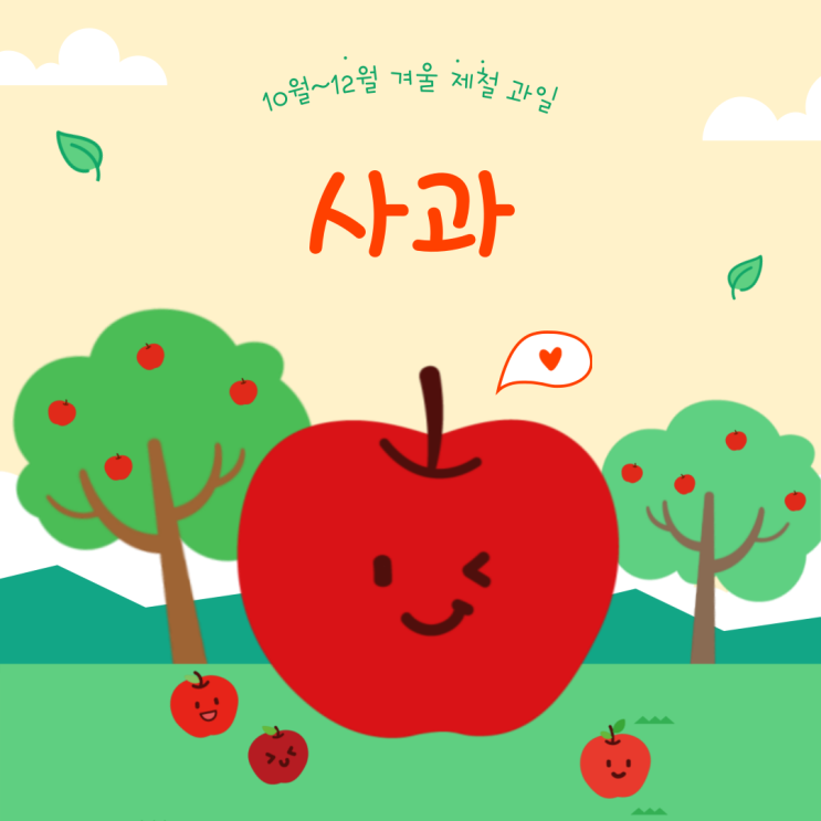  [10월~12월 겨울 제철 과일 ""] 사과 먹기 전 꼭 알아야 할 ‘이것’: 알아두면 분위기 메이커 될 상식