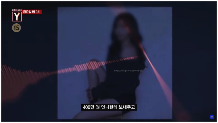  인플루언서 궁금한이야기Y SNS 월 수익 다이어트비법 효소교 싱글맘 워킹맘 발달장애 사업투자 보이스피싱 명품 공동구매