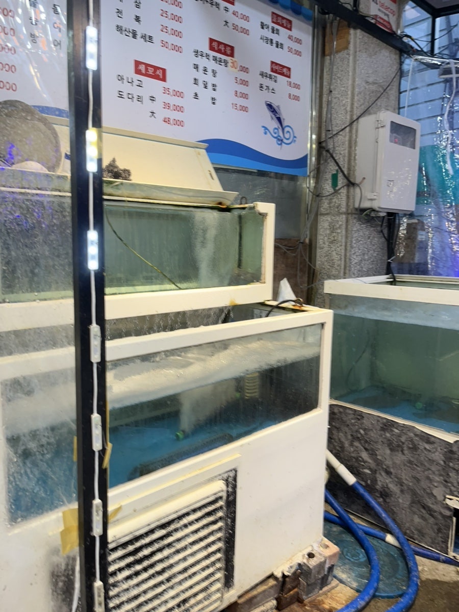 시장통바다횟집 사진 2