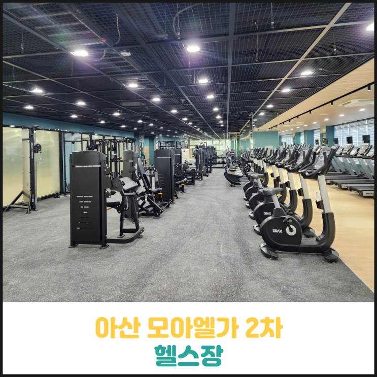 아산 모아엘가 2차 헬스장 오픈 아산 모아엘가 2차 헬스장 오픈