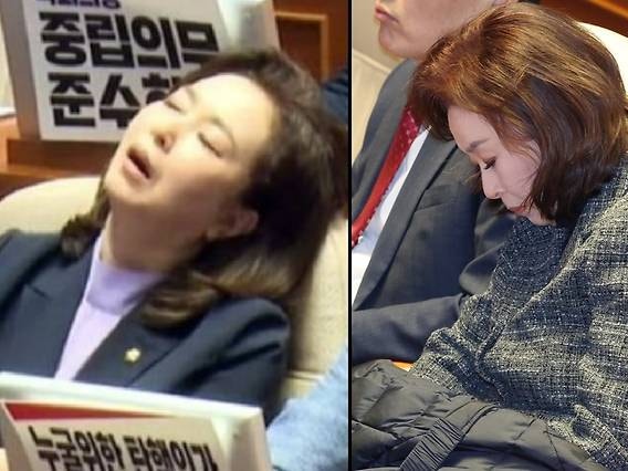 백골단 김민전