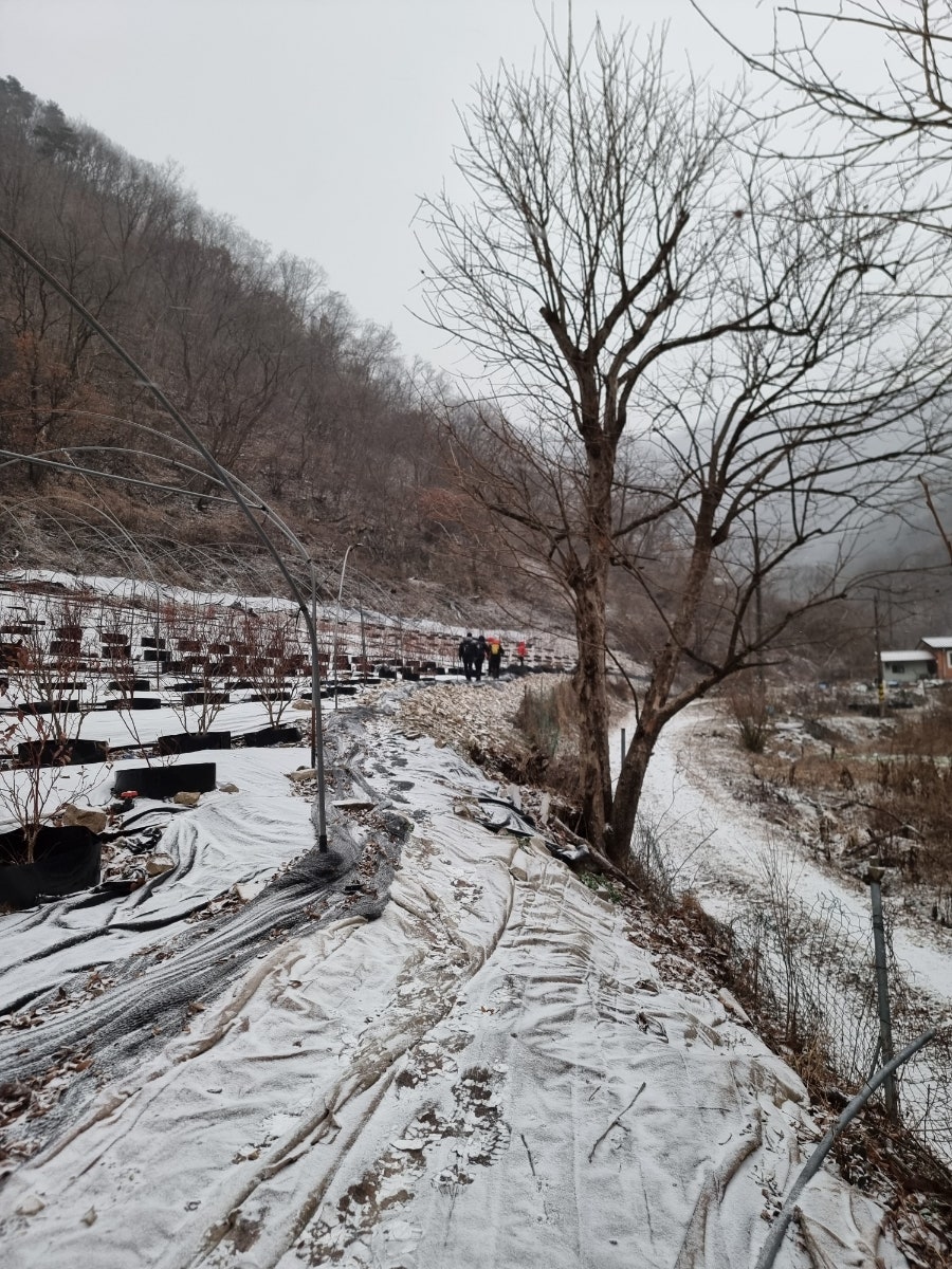 붓당골 사진 5