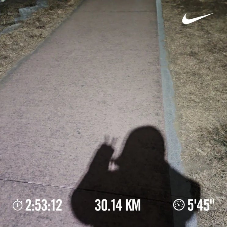 매일 10km 러닝 챌린지 1249일 차