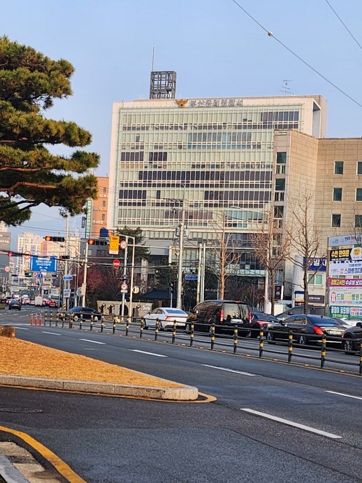 뭘까/시위대진압조/국회의원자격/<b>정치</b>깡패/<b>대통령관저</b>청년시위... 