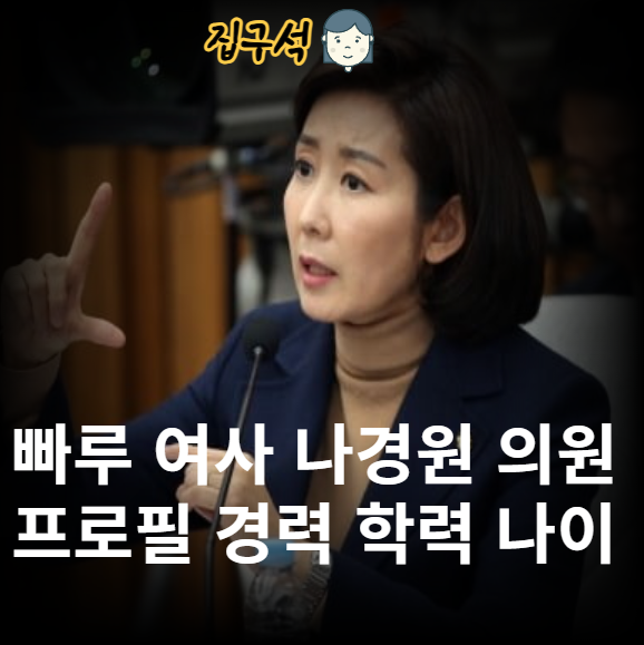 빠루 여사 나경원 의원 프로필 경력 학력 나이 지역구 자녀 가족 남편 김재호