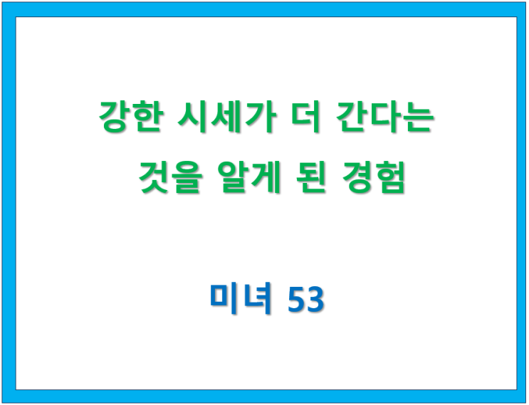  50.강한 시세가 더 간다는 것을 알게 된 경험 [미녀53 글모음]