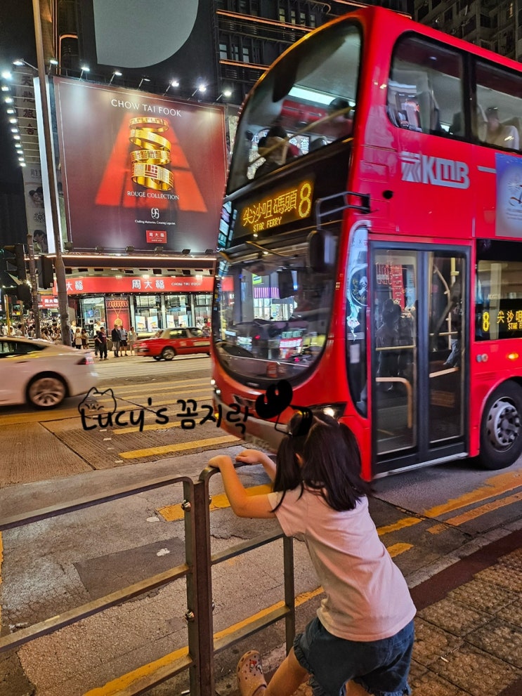  홍콩3일차 •아이와 함께하는 홍콩여행• 돈돈돈키, 템플스트리트야시장