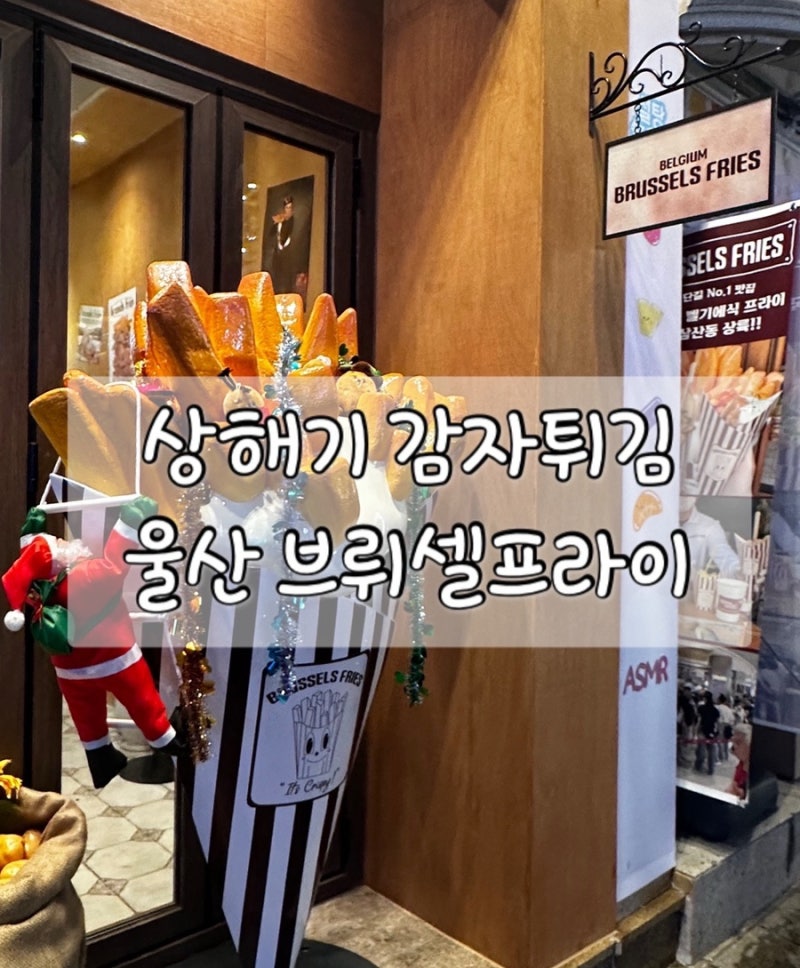 울산 삼산 감자튀김 상해기 브뤼셀프라이