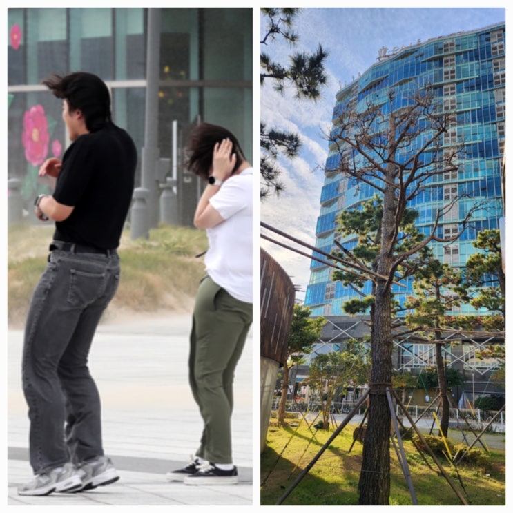 부산 엘시티 빌딩풍 "서 있기도 힘드네" 얼마나 심하길래? 부산 엘시티 빌딩풍 "서 있기도 힘드네" 얼마나 심하길래?
