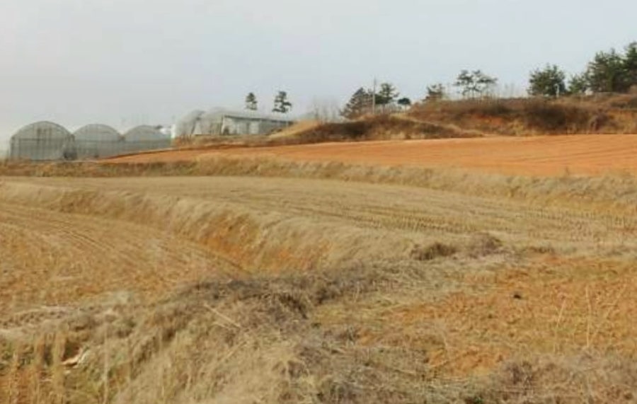 묘장산 사진 5