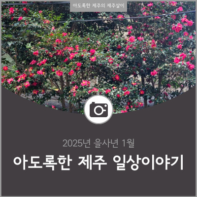 2025년 1월의 제주도의 숨은 구석구석 산책하기