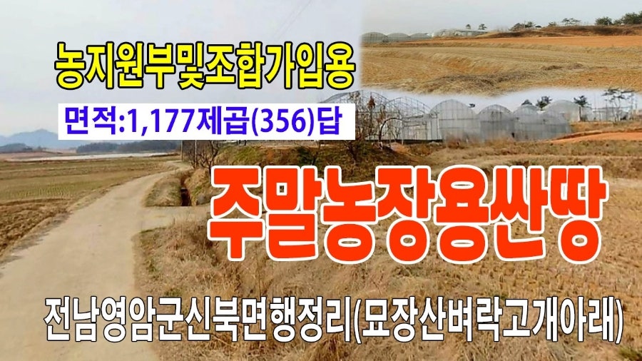 묘장산 사진 1