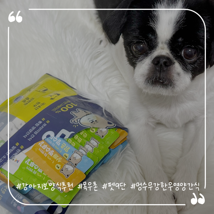  강아지보양식추천 목우촌 펫9단 멍수무강 한우 영양간식