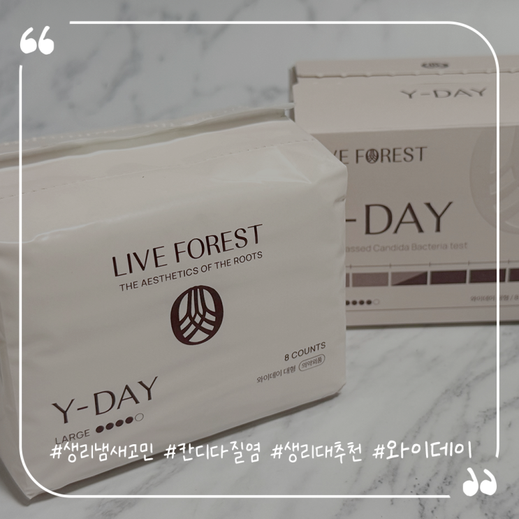 생리 냄새 고민된다면 칸디다질염 잡아주는 생리대 추천 와이데이