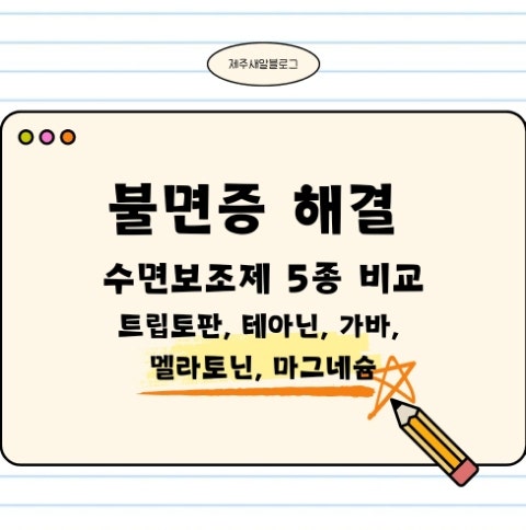  불면증 해결 수면 보조제 추천 트립토판 테아닌 멜라토닌 GABA 마그네슘 효능