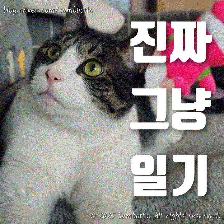  진짜 그냥 일기 | 행복한 주말, 파주 데이트&서울 합정 데이트