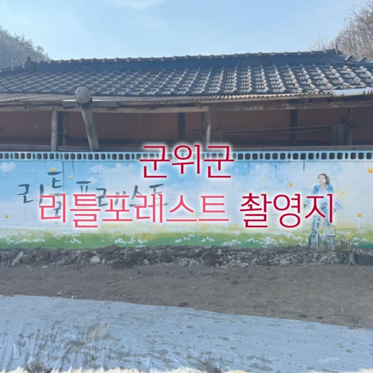  [여행] 군위읍 리틀포레스트 촬영지