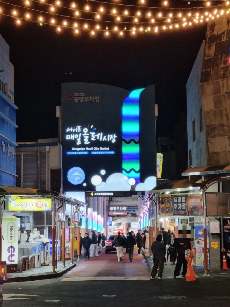  제주 서귀포 매일올레시장 야시장 투어와 칠십리제주에서 감귤 선물하기