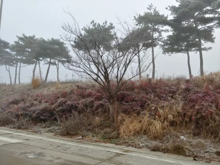 겨울풍경 잘 보고 왔다~