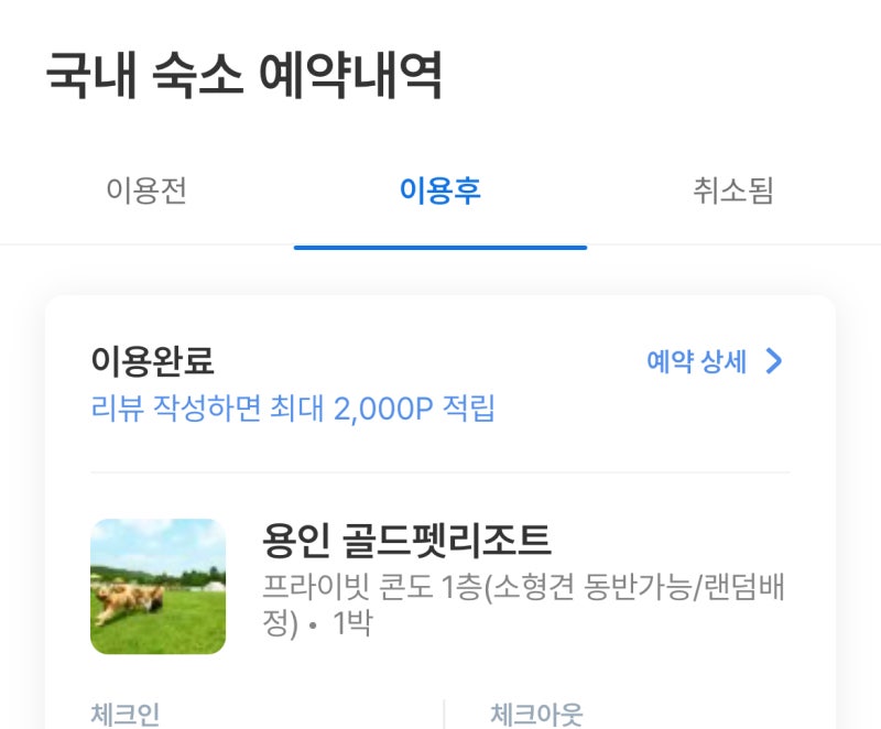 사진 2