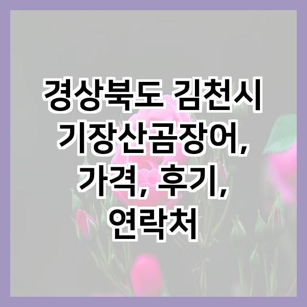기장산곰장어 사진 1