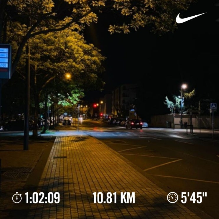 매일 10km 러닝 챌린지 1250일 차
